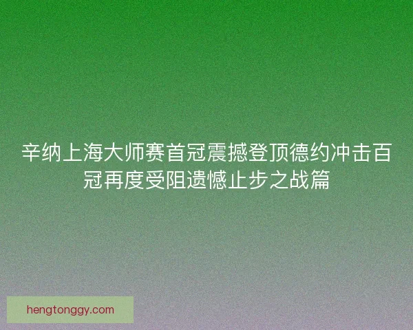 辛纳上海大师赛首冠震撼登顶德约冲击百冠再度受阻遗憾止步之战篇